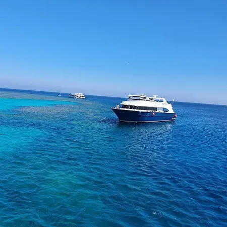 Lucky Day * Πούλα