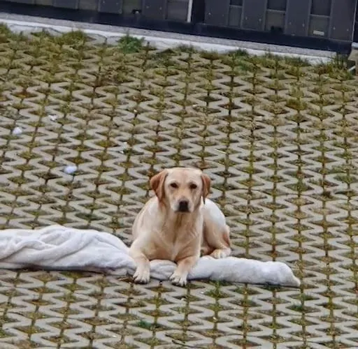 Holiday home Lucky Day *