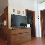 Lucky Day Πούλα